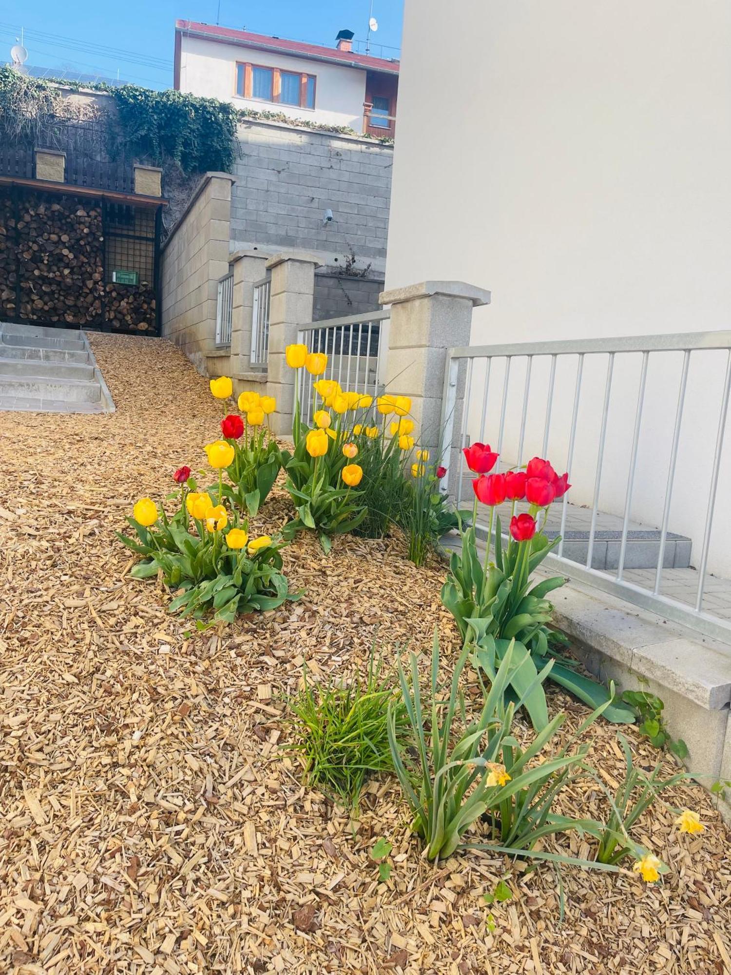 Jenys Apartment Usti Usti nad Labem Ngoại thất bức ảnh